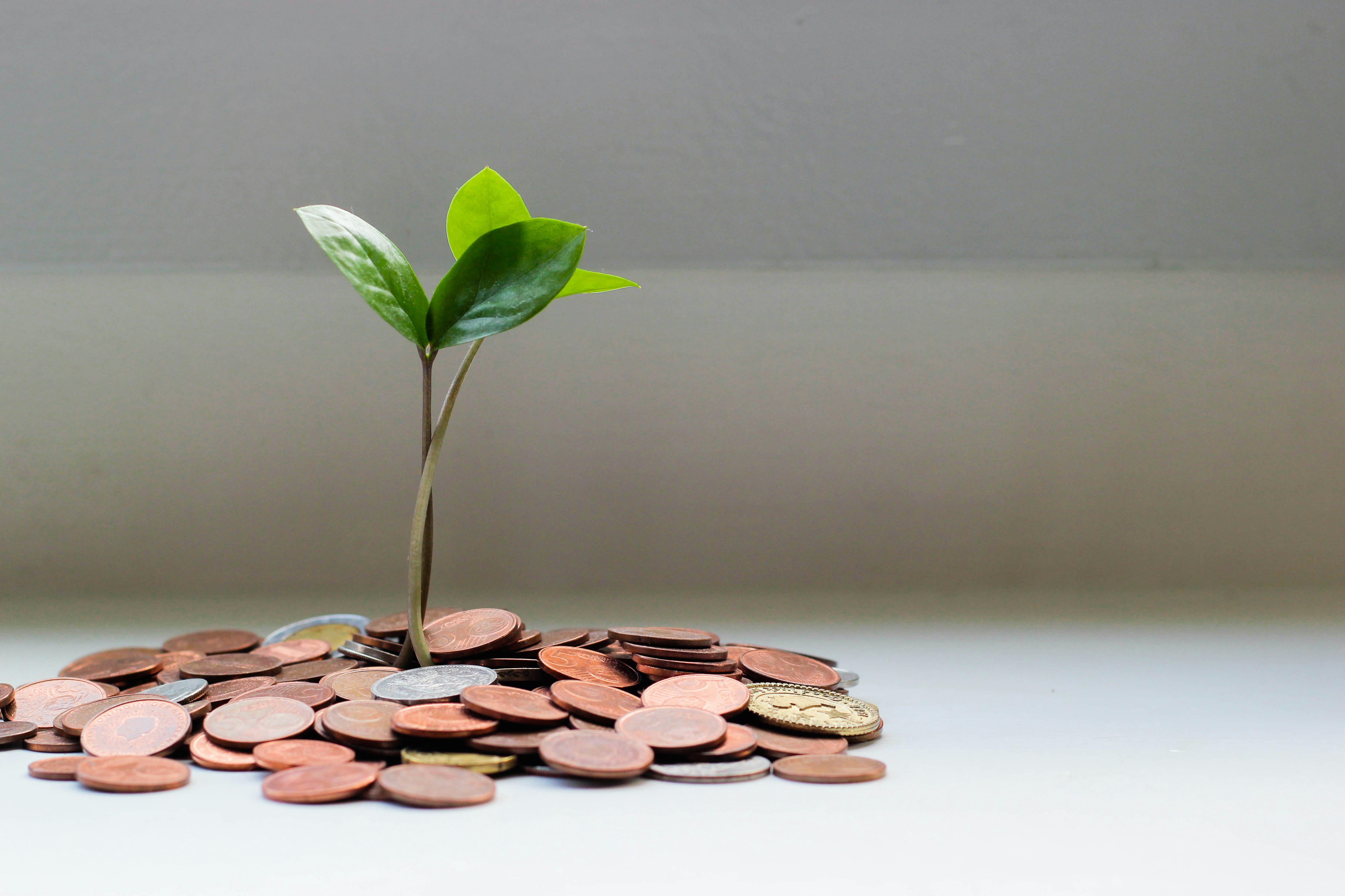 Building Automated AI Workflows for Passive Revenue